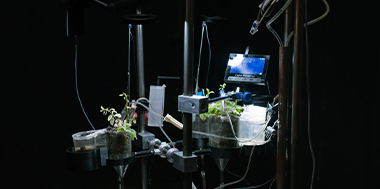 Alizee Armet in one of our LASER Talks